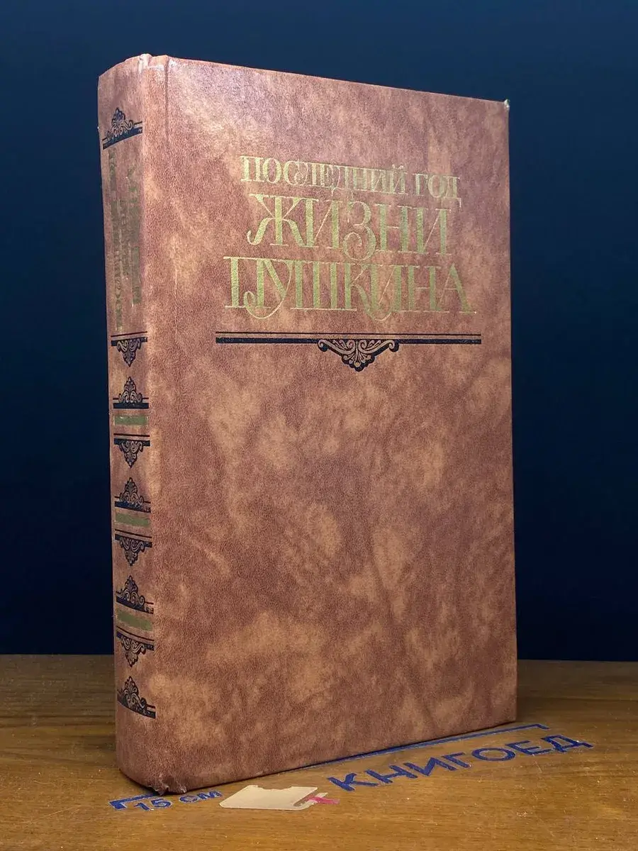 Последний год жизни Пушкина