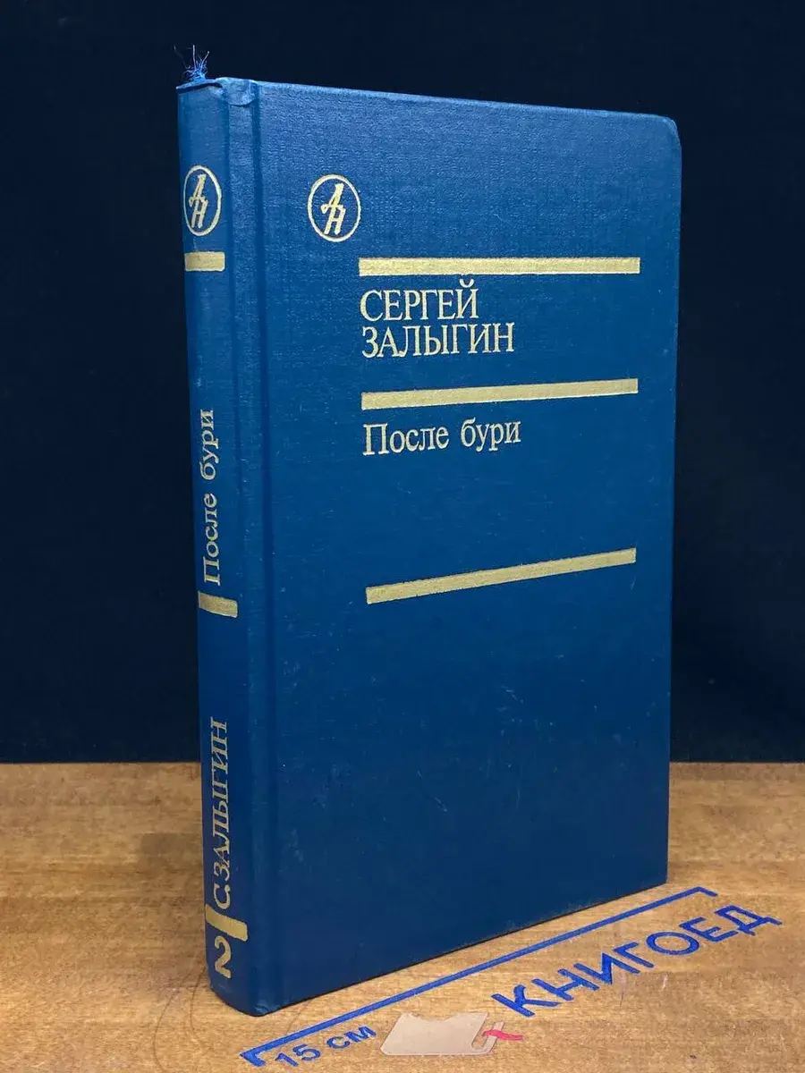 После бури. Книга 2