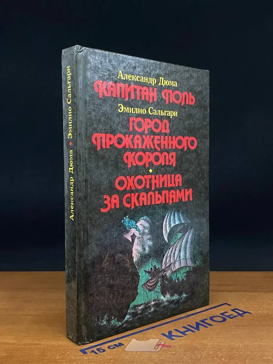 Капитан Поль. Город прокаженного короля