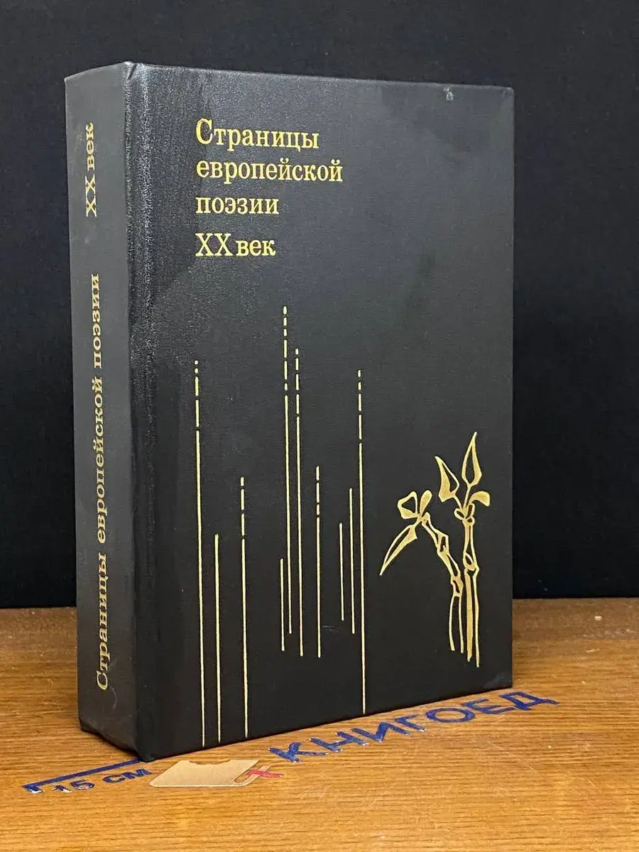 Страницы европейской поэзии XX век