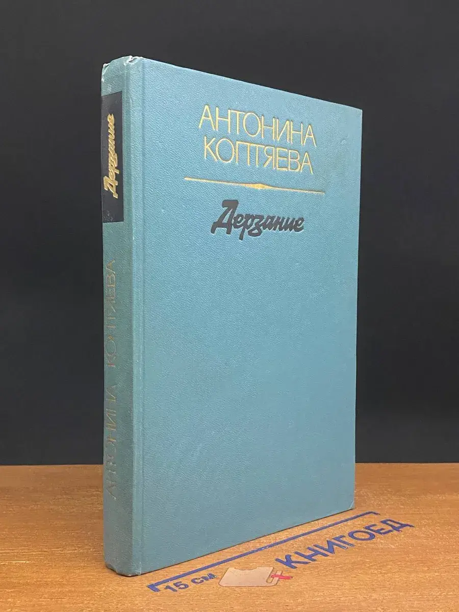 Дерзание
