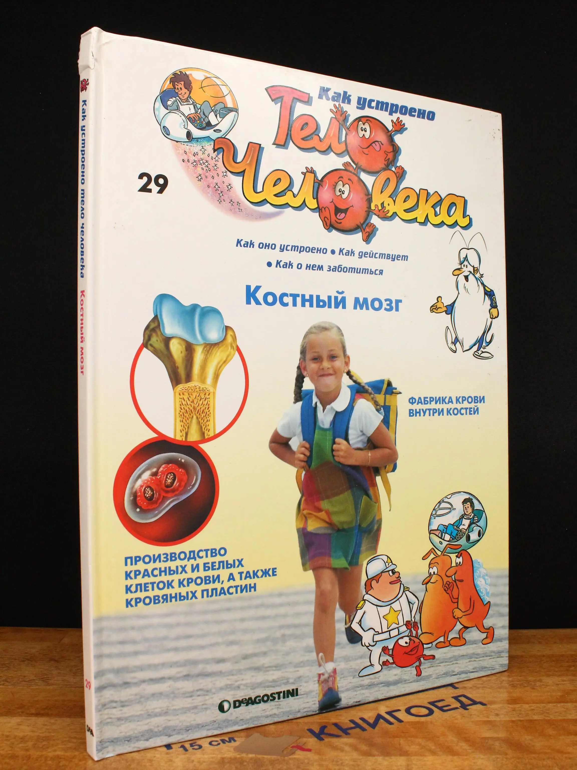 Как устроено тело человека. Выпуск 29