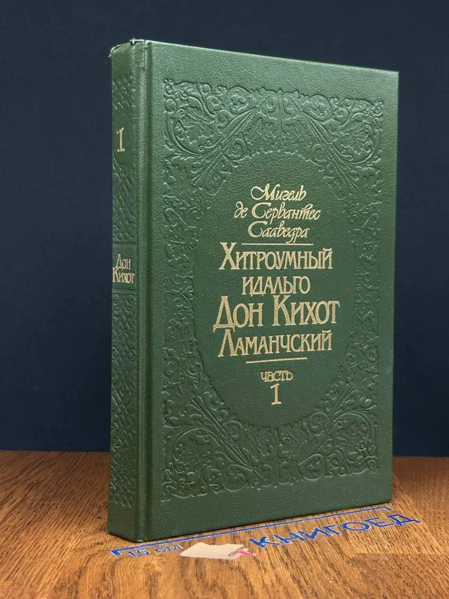 Хитроумный идальго Дон Кихот Ламанчский. Часть 1