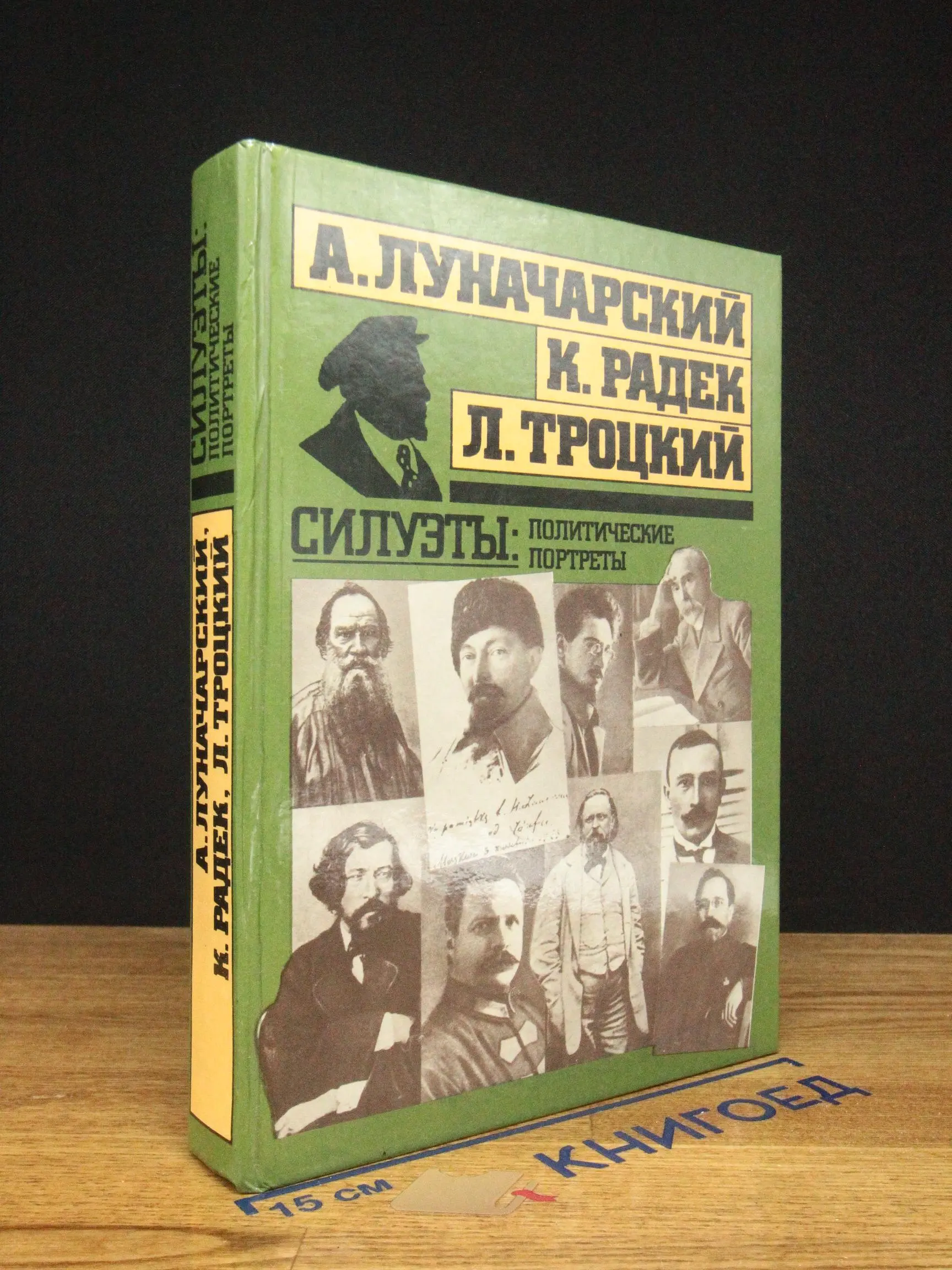 Силуэты политические портреты