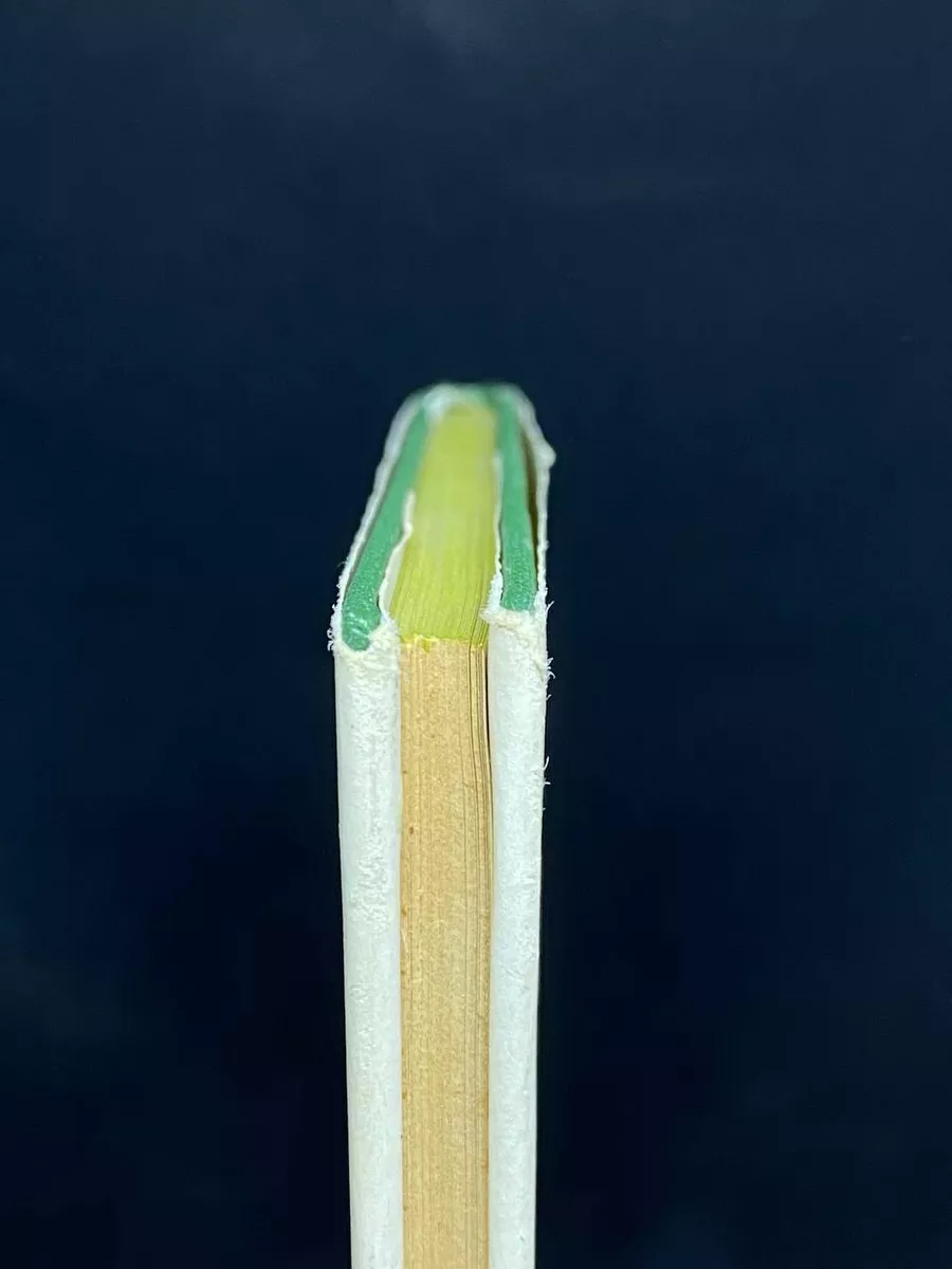 Фото 6