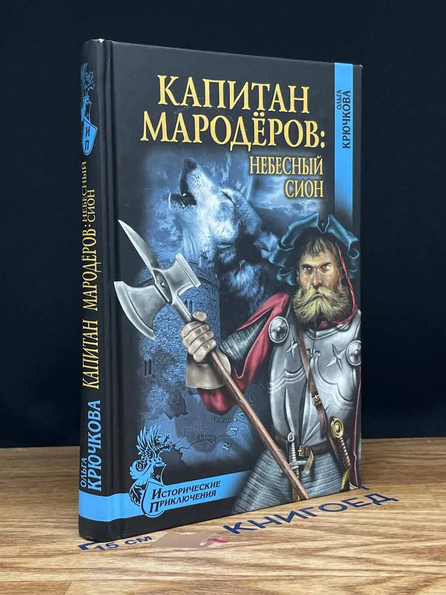 Капитан мародеров. Небесный Сион