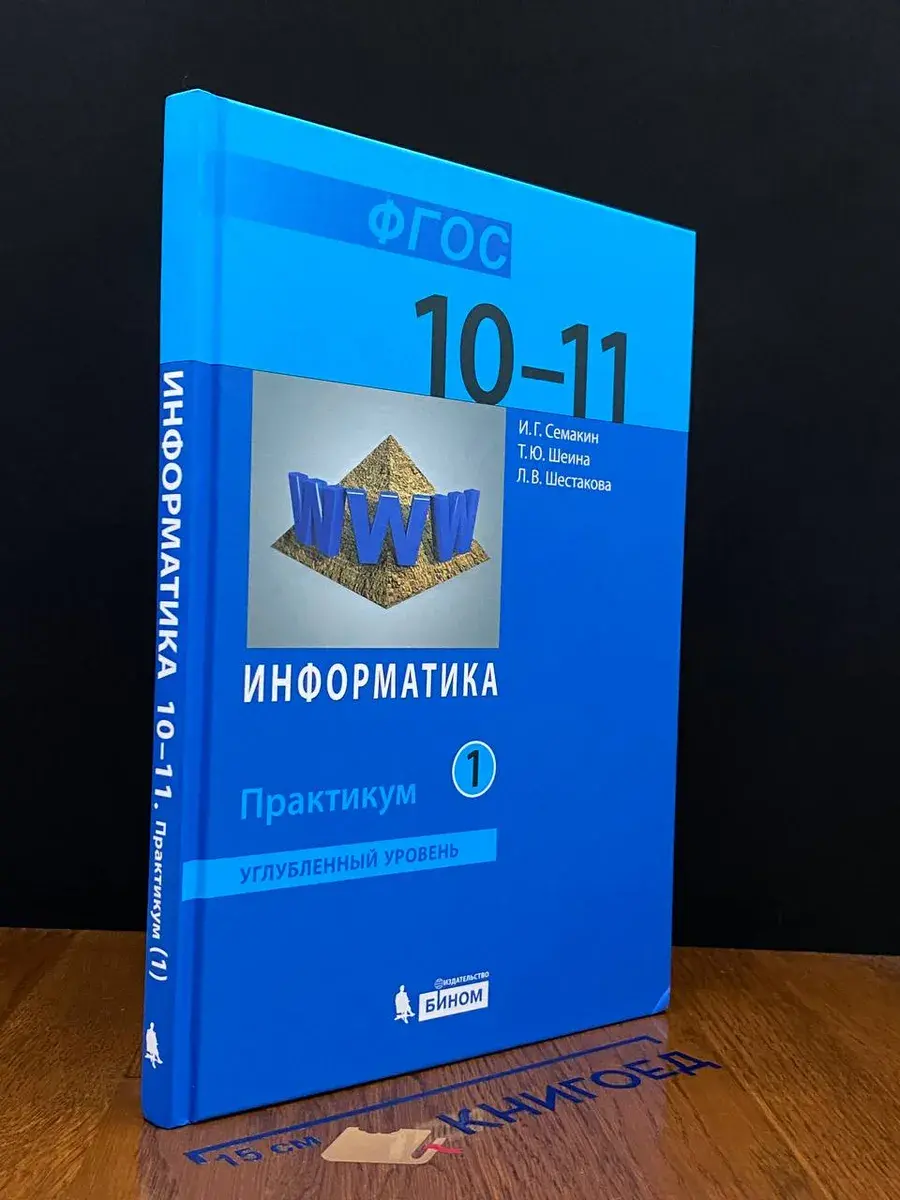 Информатика 10-11 класс. Учебник. Часть 1