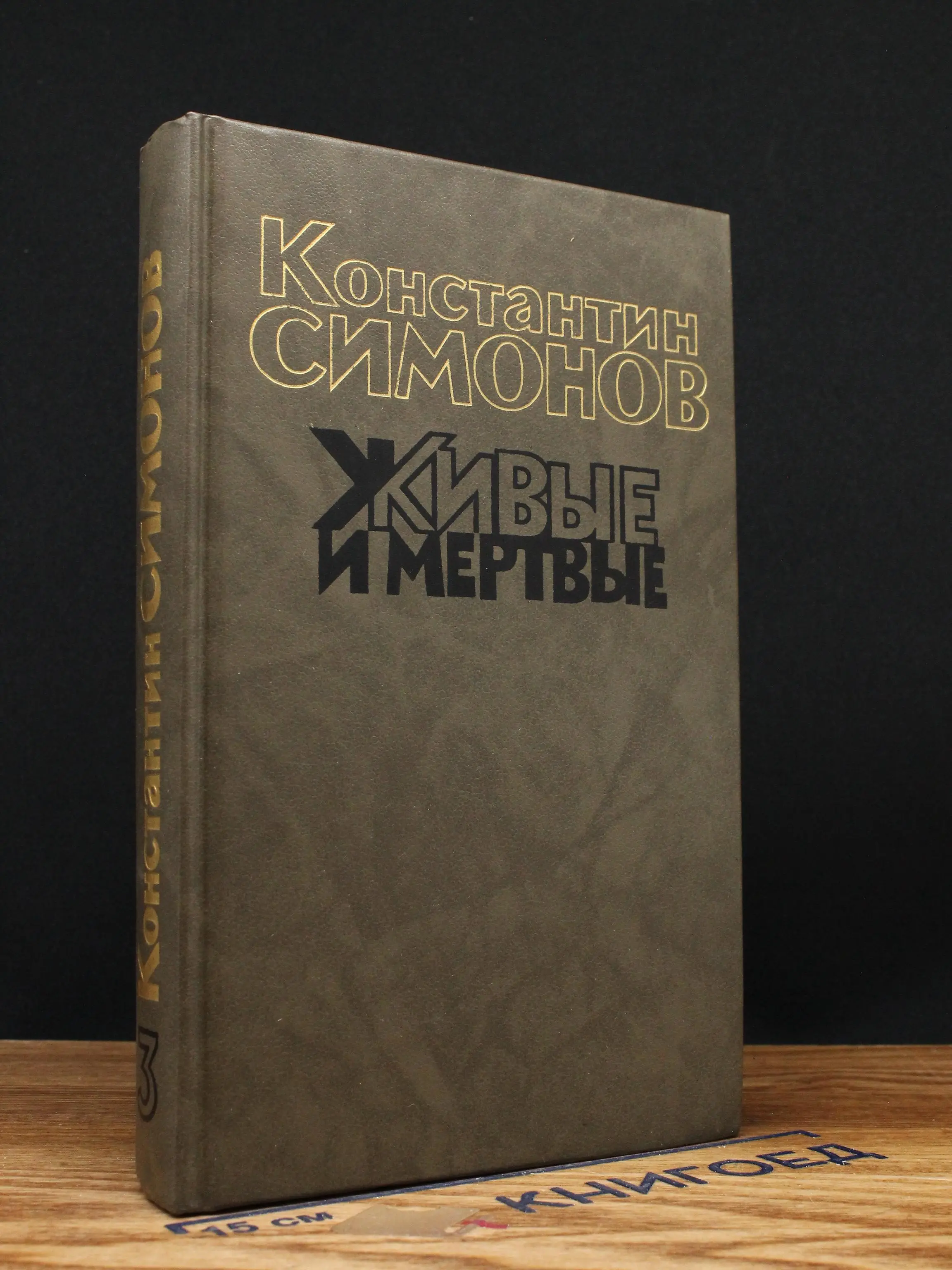 Живые и мертвые. Том 3