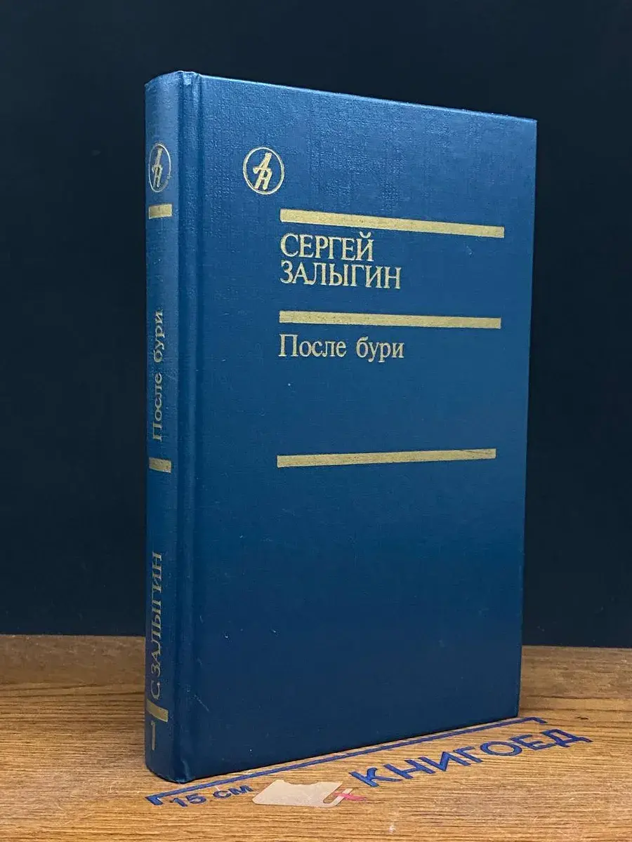 После бури. Книга 1