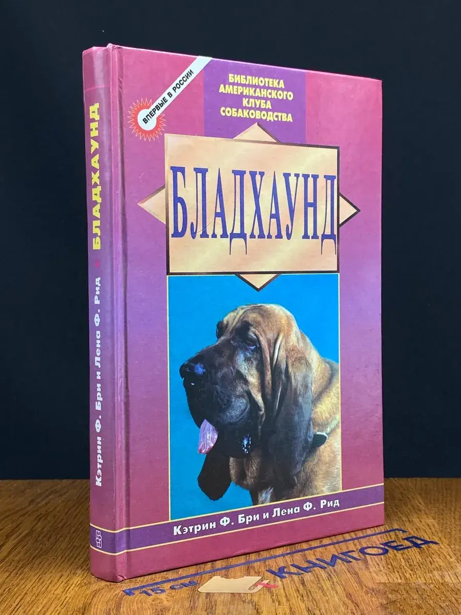 Бладхаунд