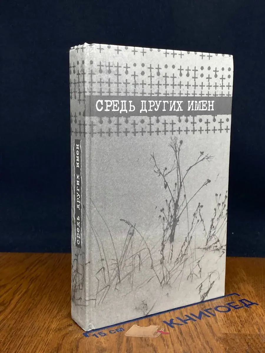 Средь других имен