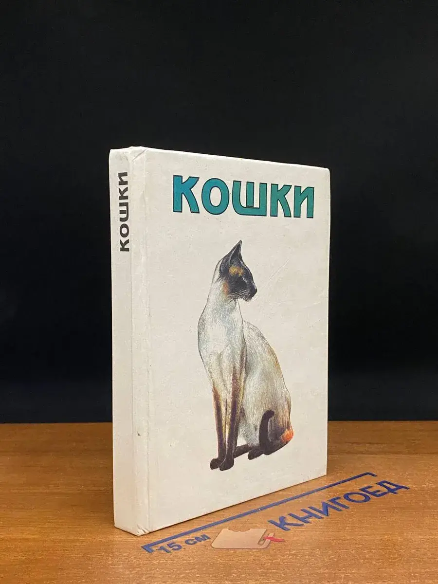 Кошки