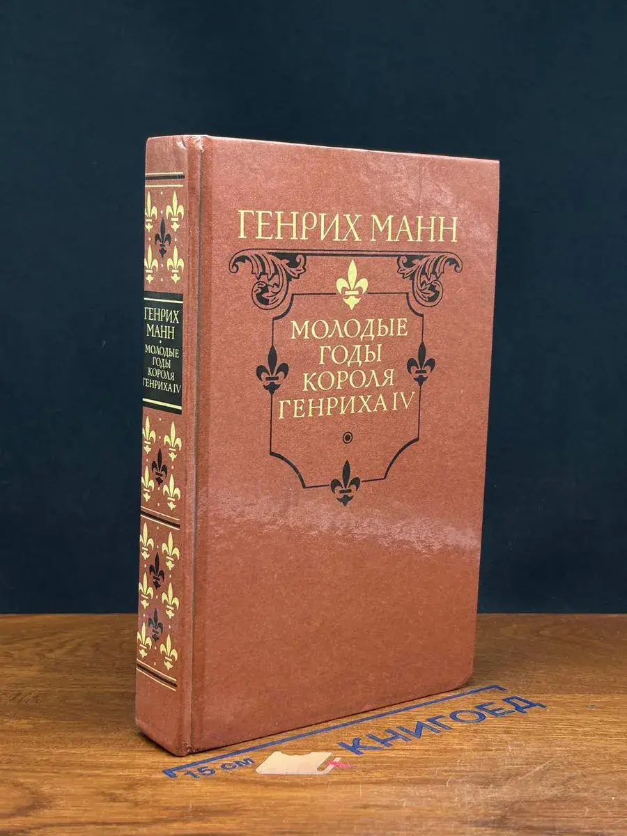Молодые годы короля Генриха lV