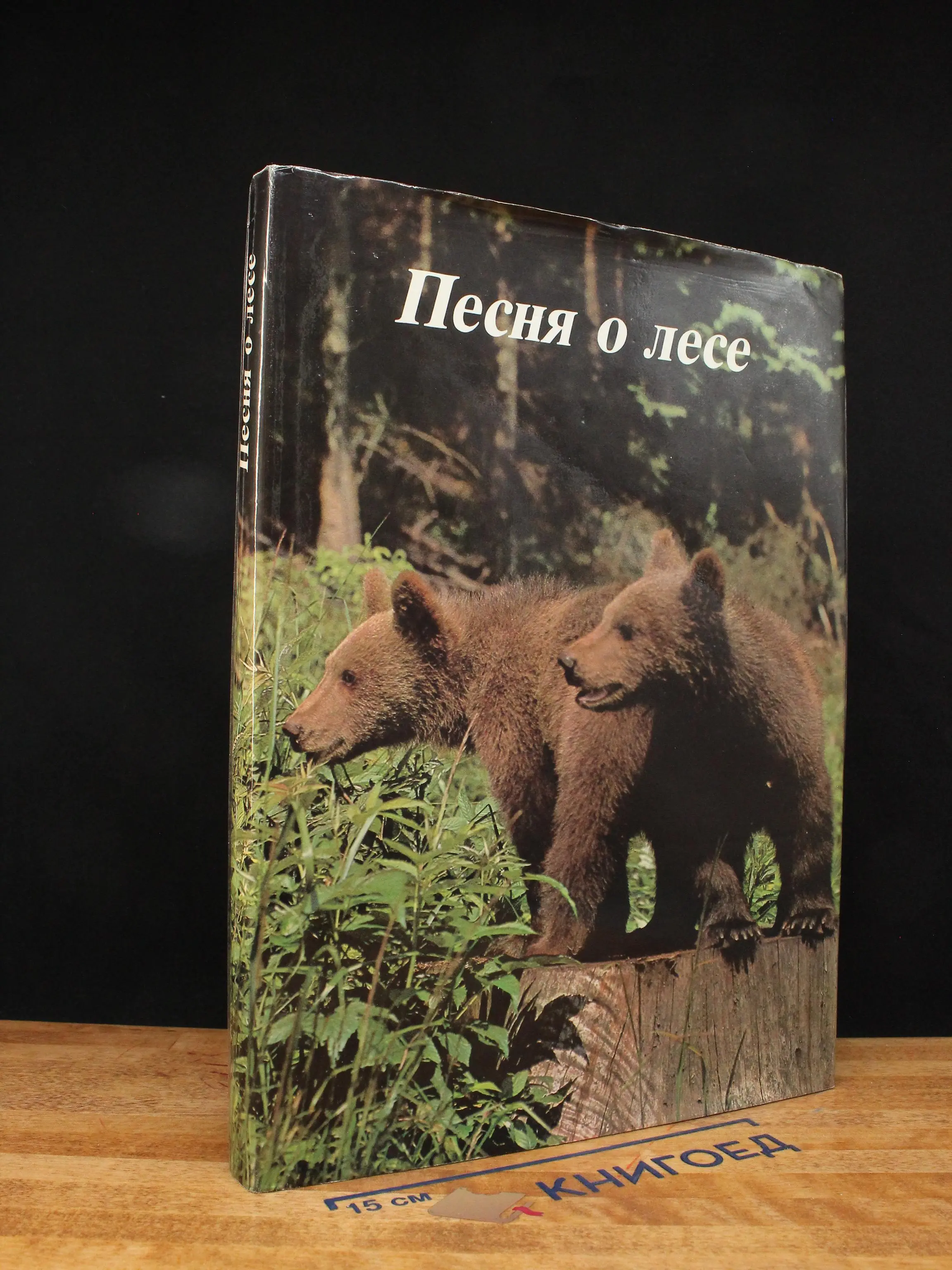 Песня о лесе