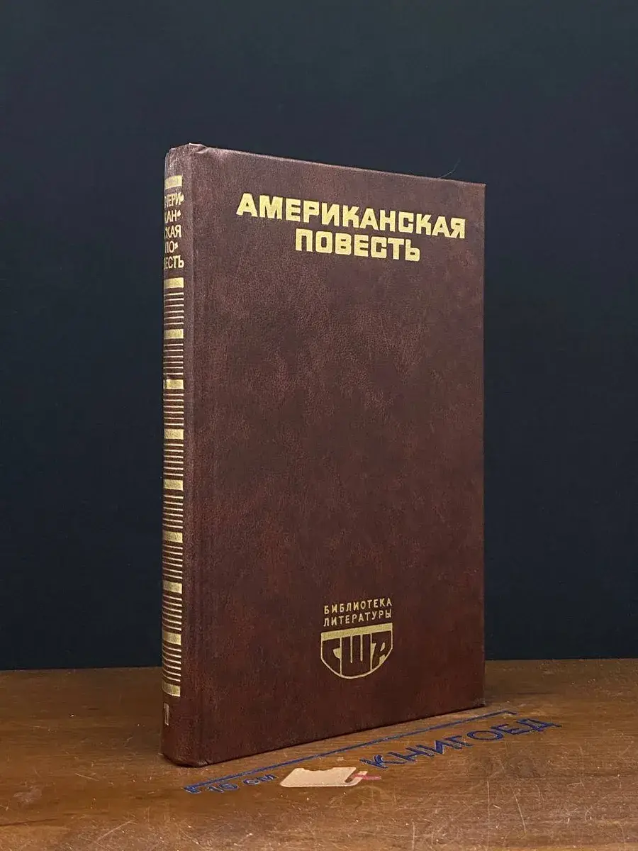 Американская повесть. В двух книгах. Книга 1
