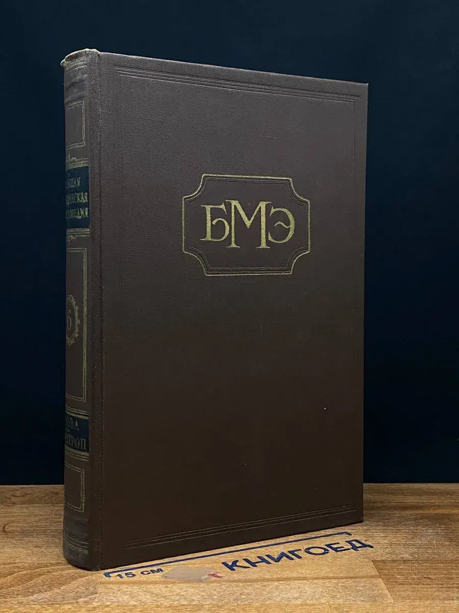 Большая медицинская энциклопедия. Том 6