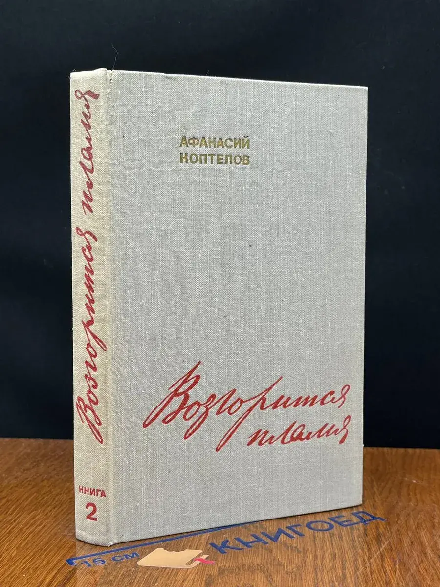 Возгорится пламя. Книга 2