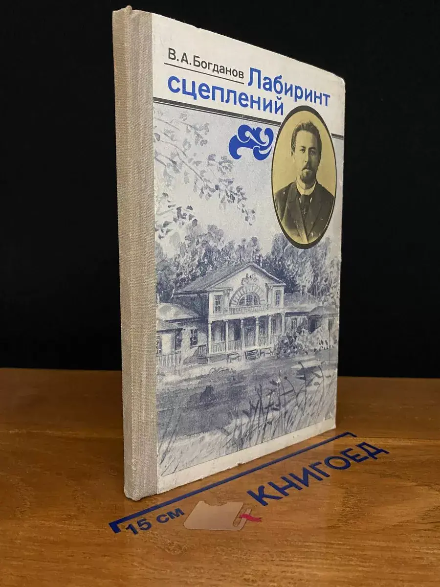 Лабиринт сцеплений. Введение в поэтику и проблематику