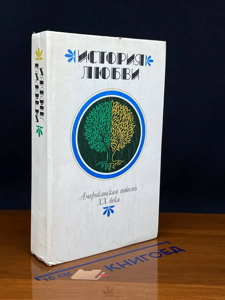 История любви. Американская повесть XX века