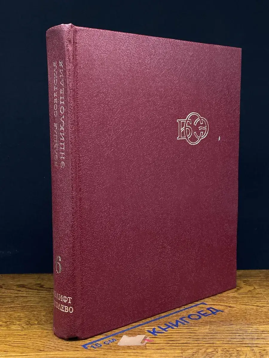 Большая советская энциклопедия. Том 6
