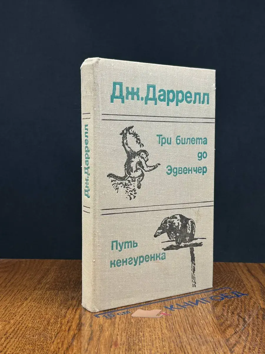 Три билета до Эдвенчер. Путь кенгуренка