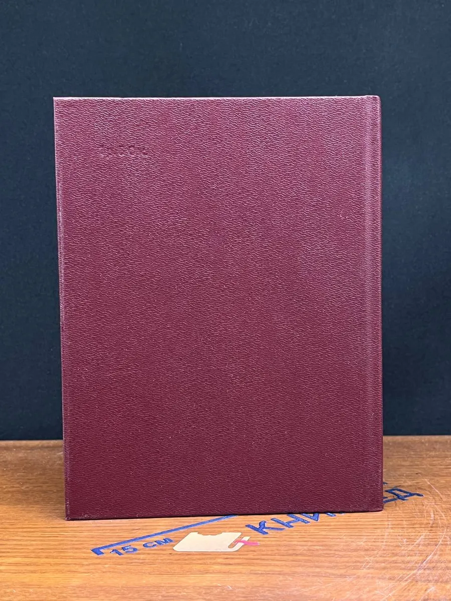 Фото 6