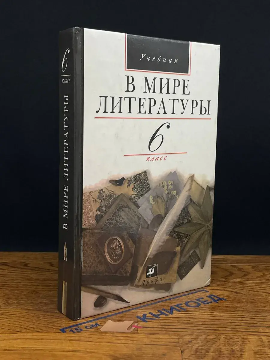 В мире литературы. 6 класс