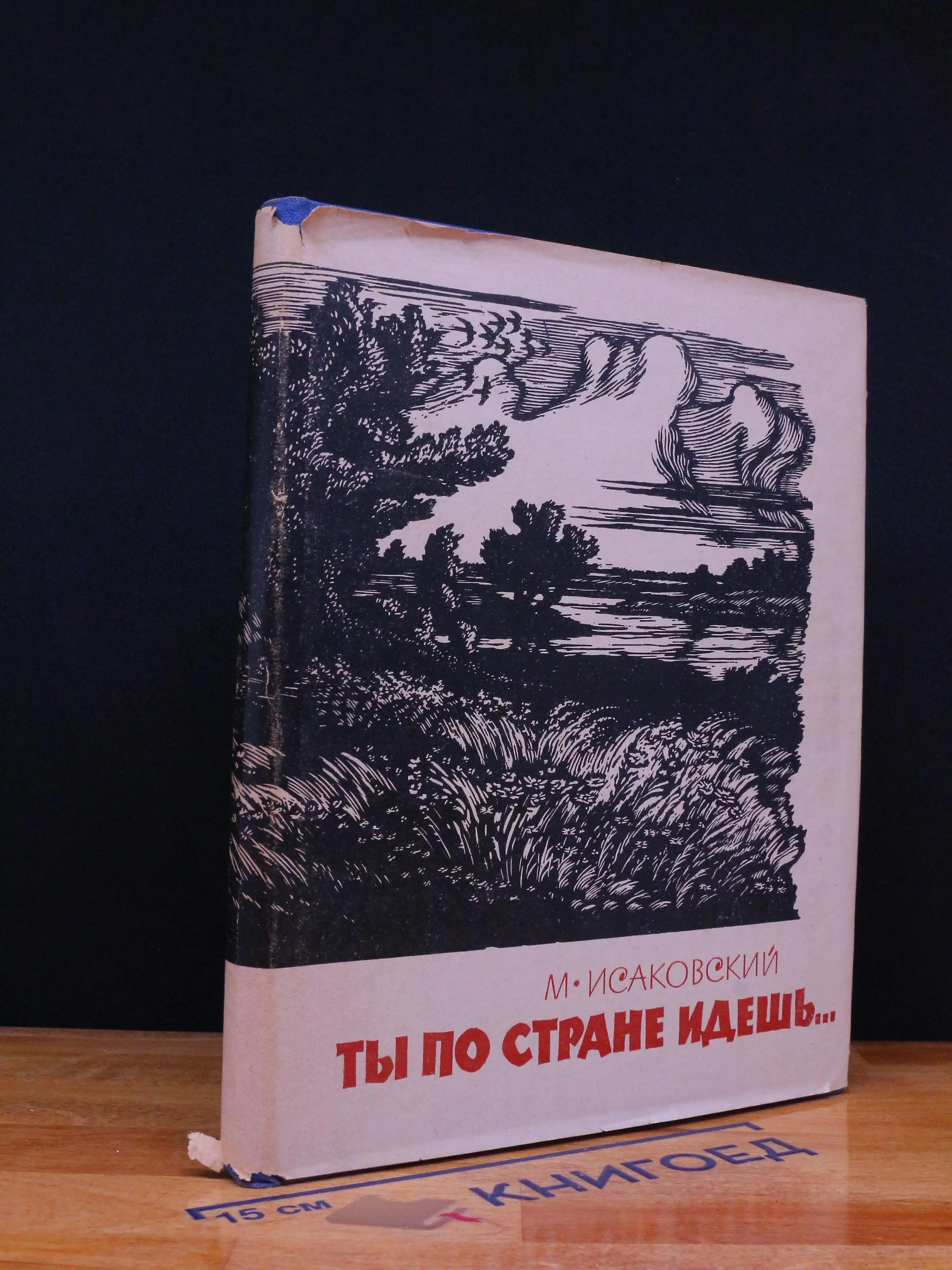 Ты по стране идешь..