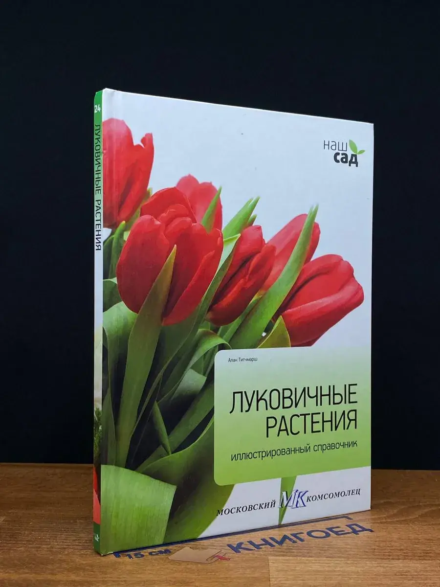 Луковичные растения