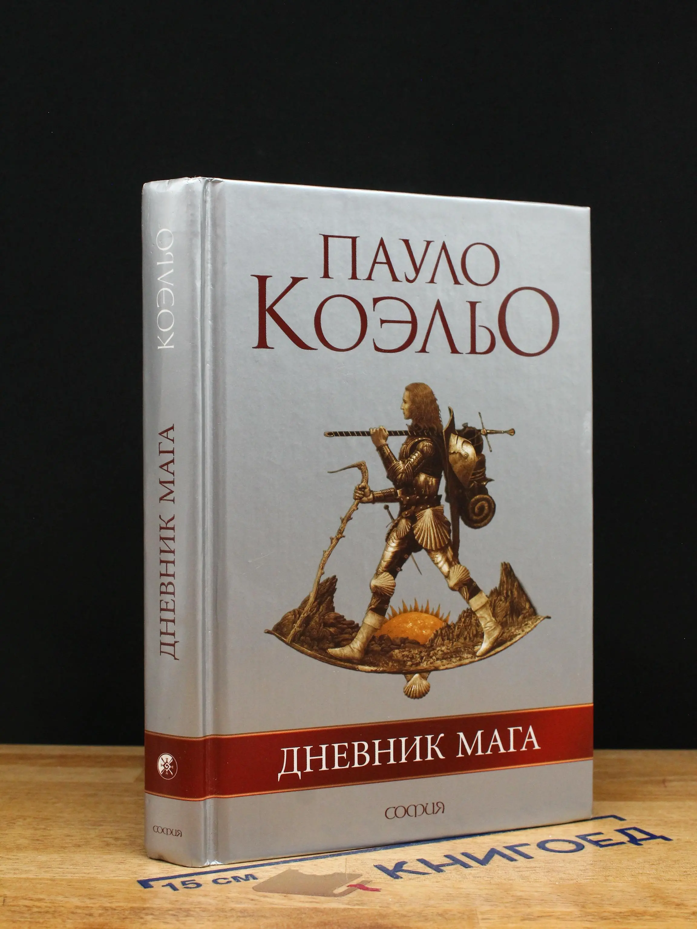 Дневник мага