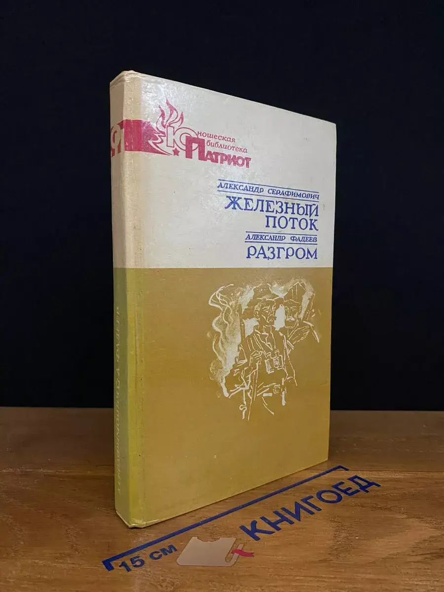 Железный поток. Разгром