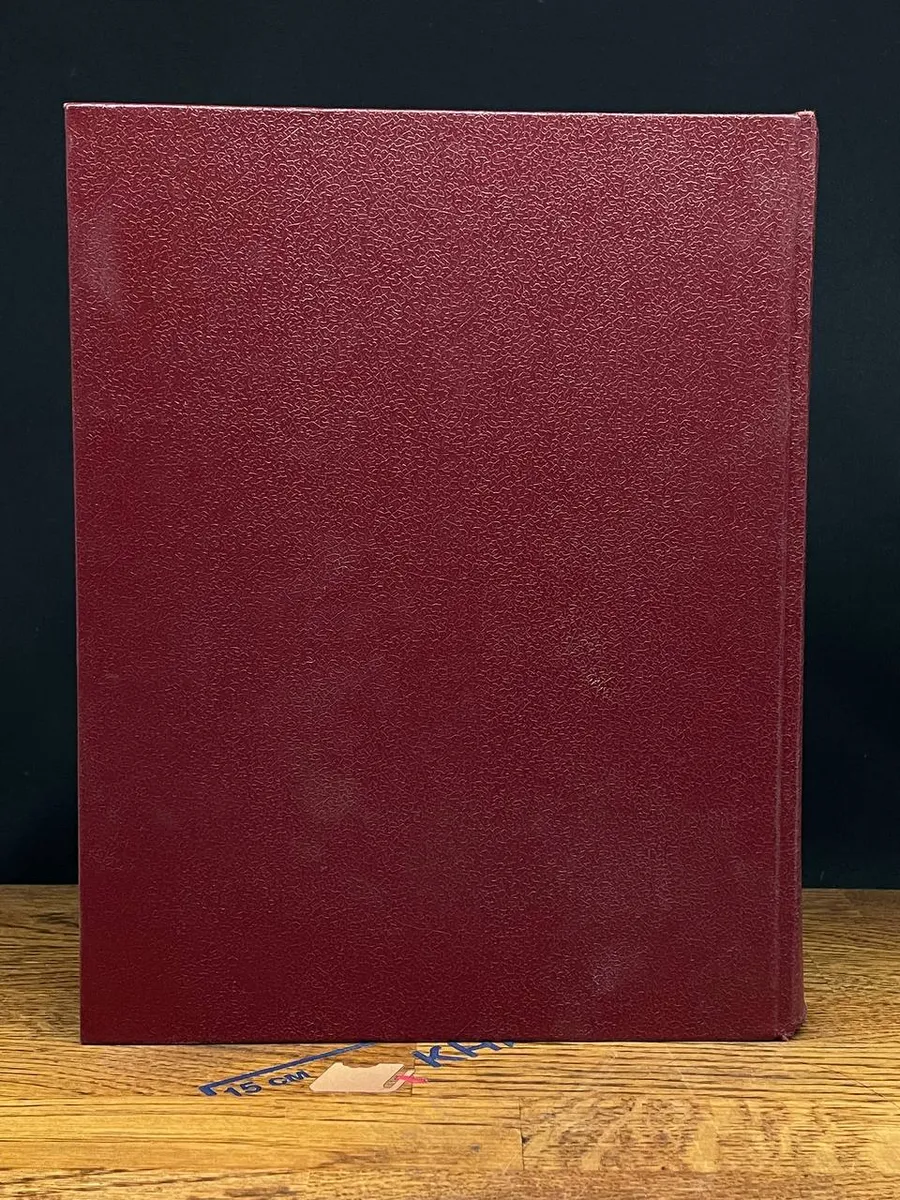 Фото 6