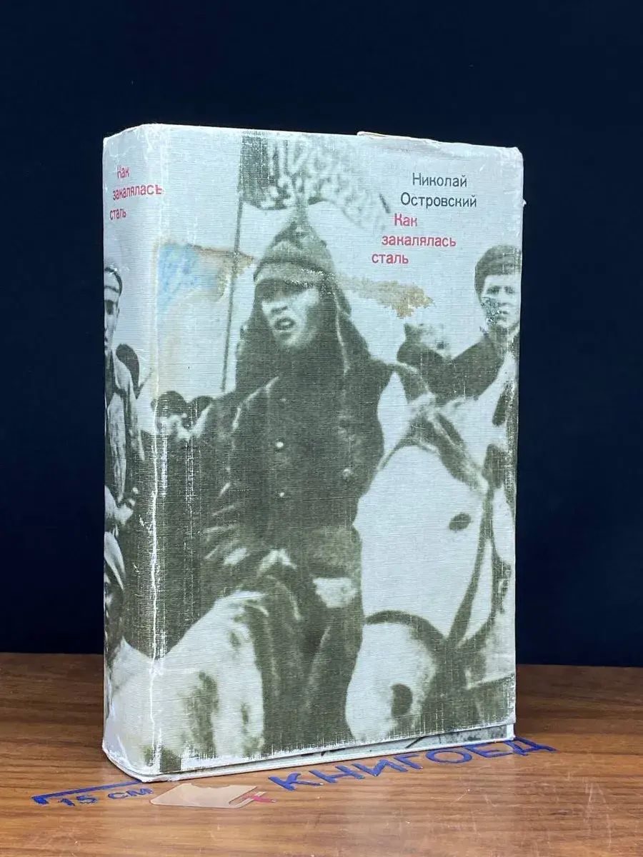 Как закалялась сталь. Книга поколений