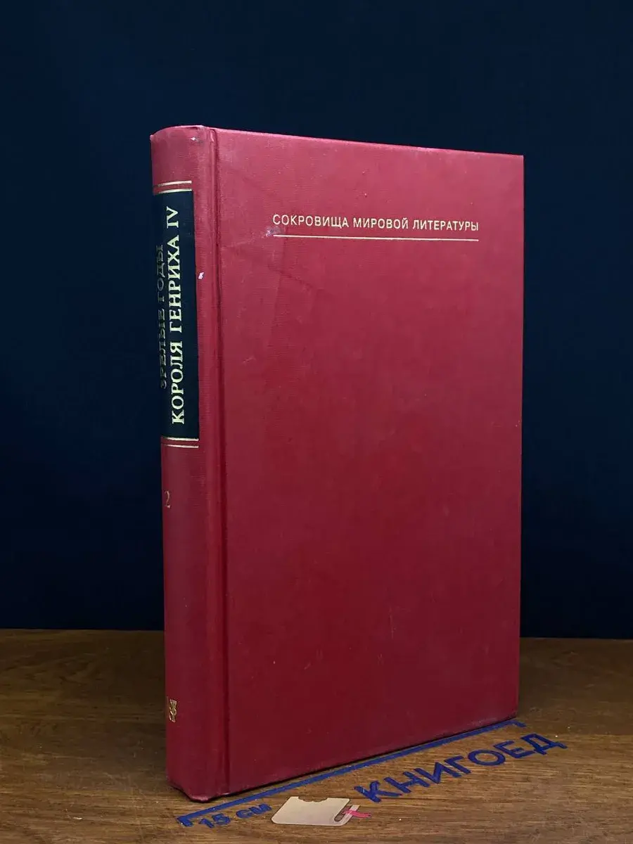 Зрелые годы короля Генриха IV. Книга 2