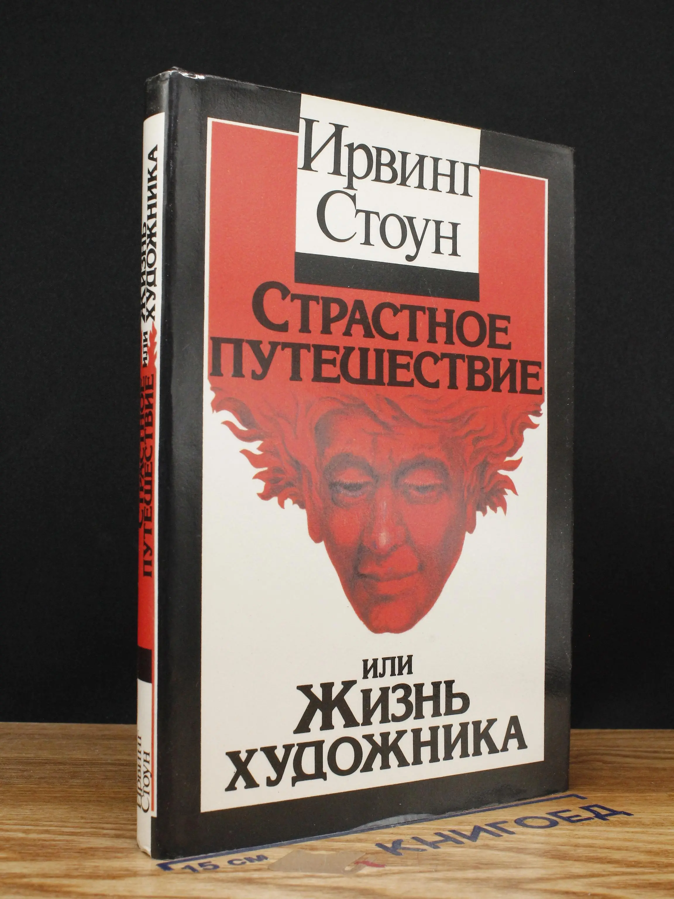 Страстное путешествие, или жизнь художника