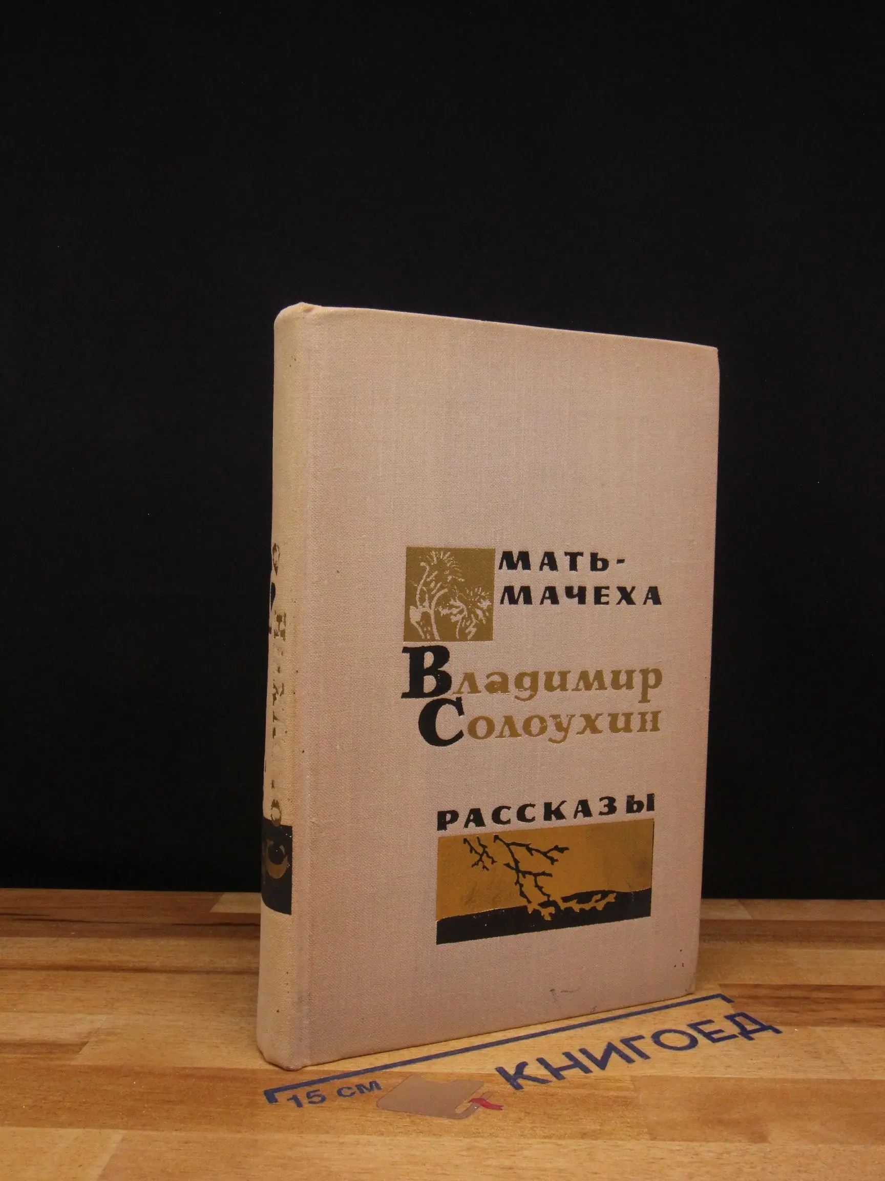 Мать - мачеха