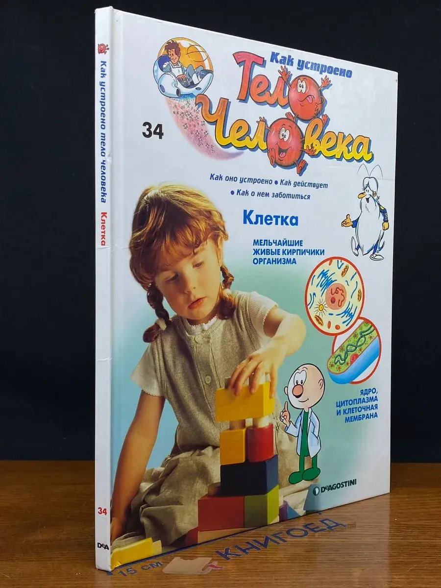 Как устроено тело человека. Выпуск 34. Клетка