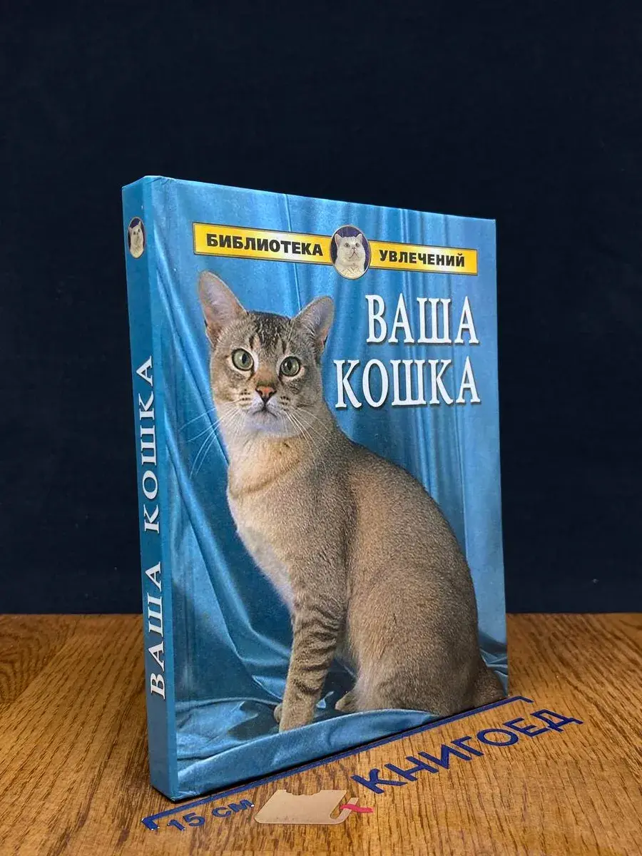 Ваша кошка