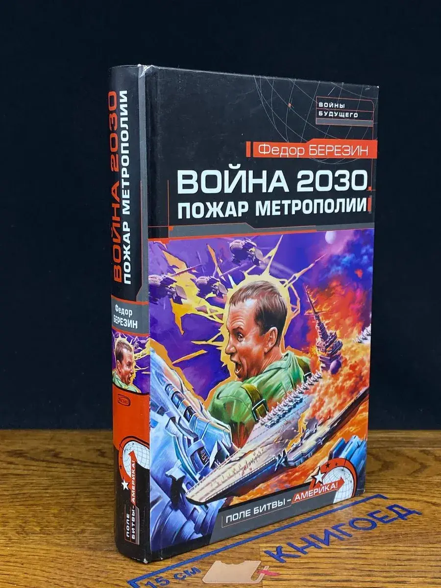 Война 2030. Пожар Метрополии