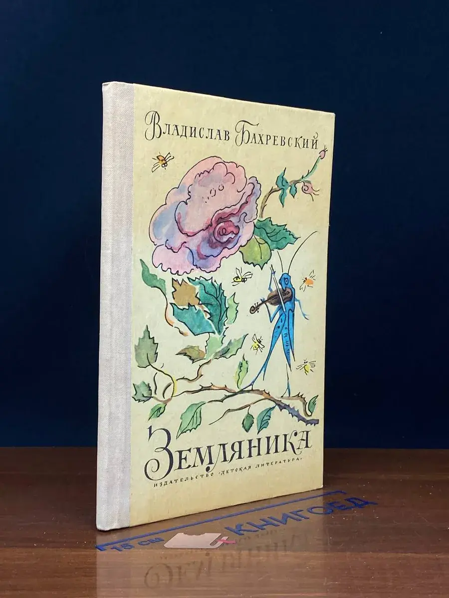 Земляника