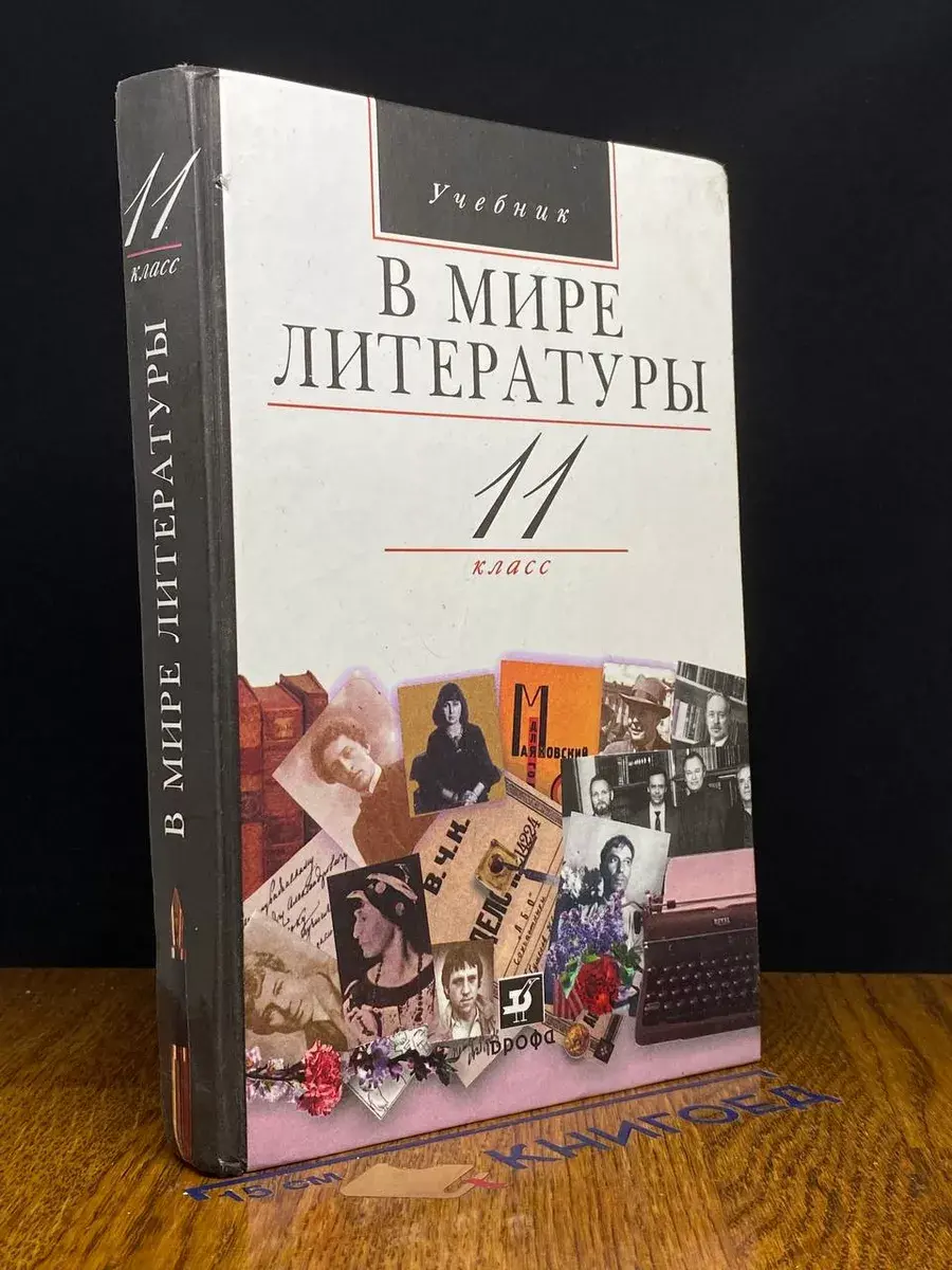 В мире литературы. 11 класс