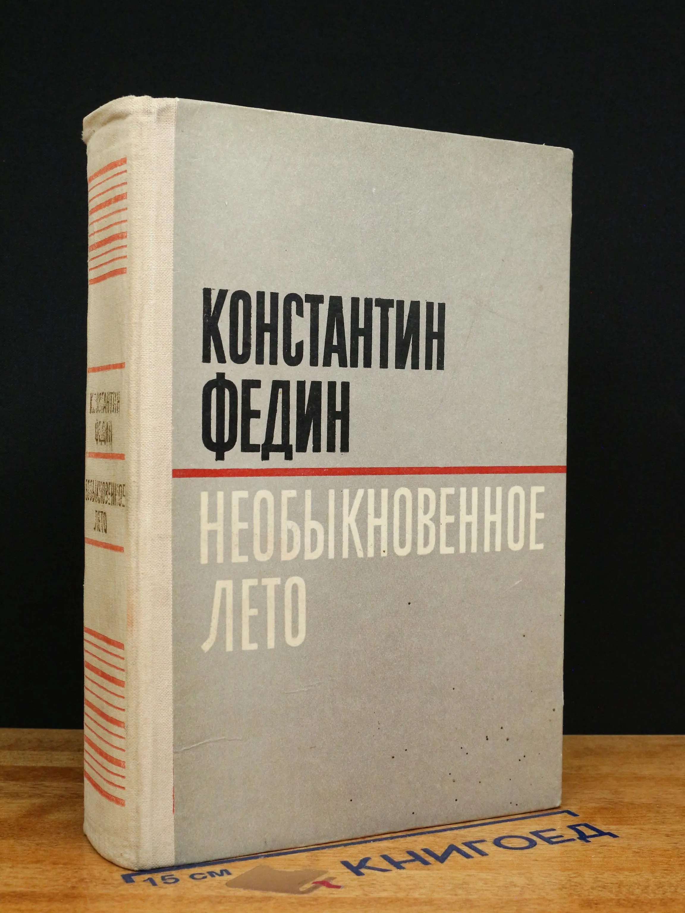Необыкновенное лето
