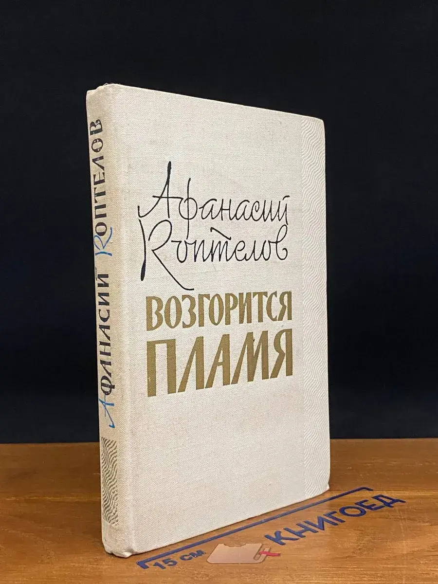 Возгорится пламя. Книга вторая