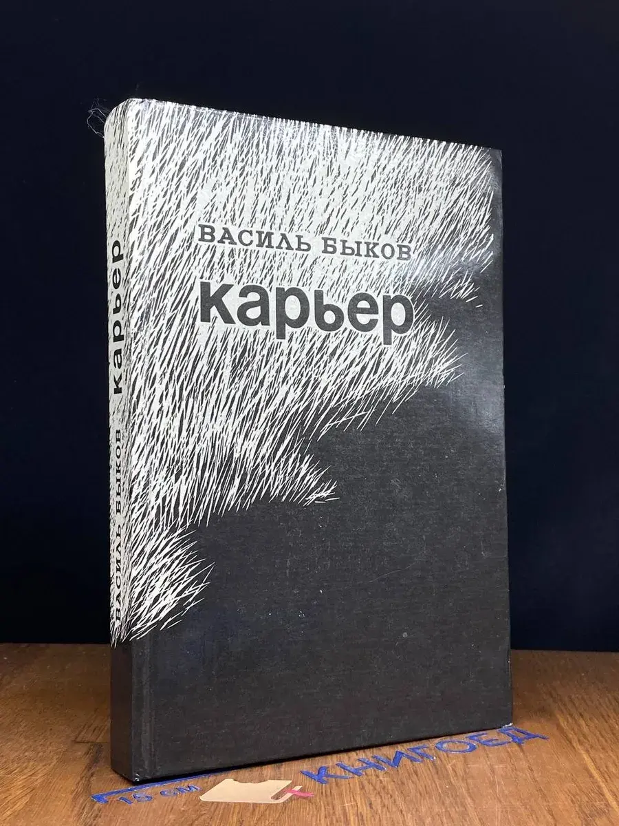 Карьер