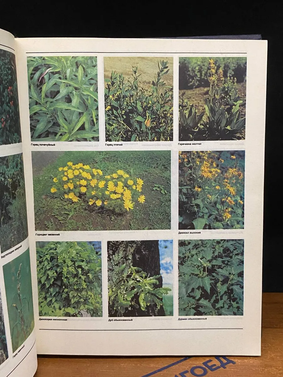Фото 4