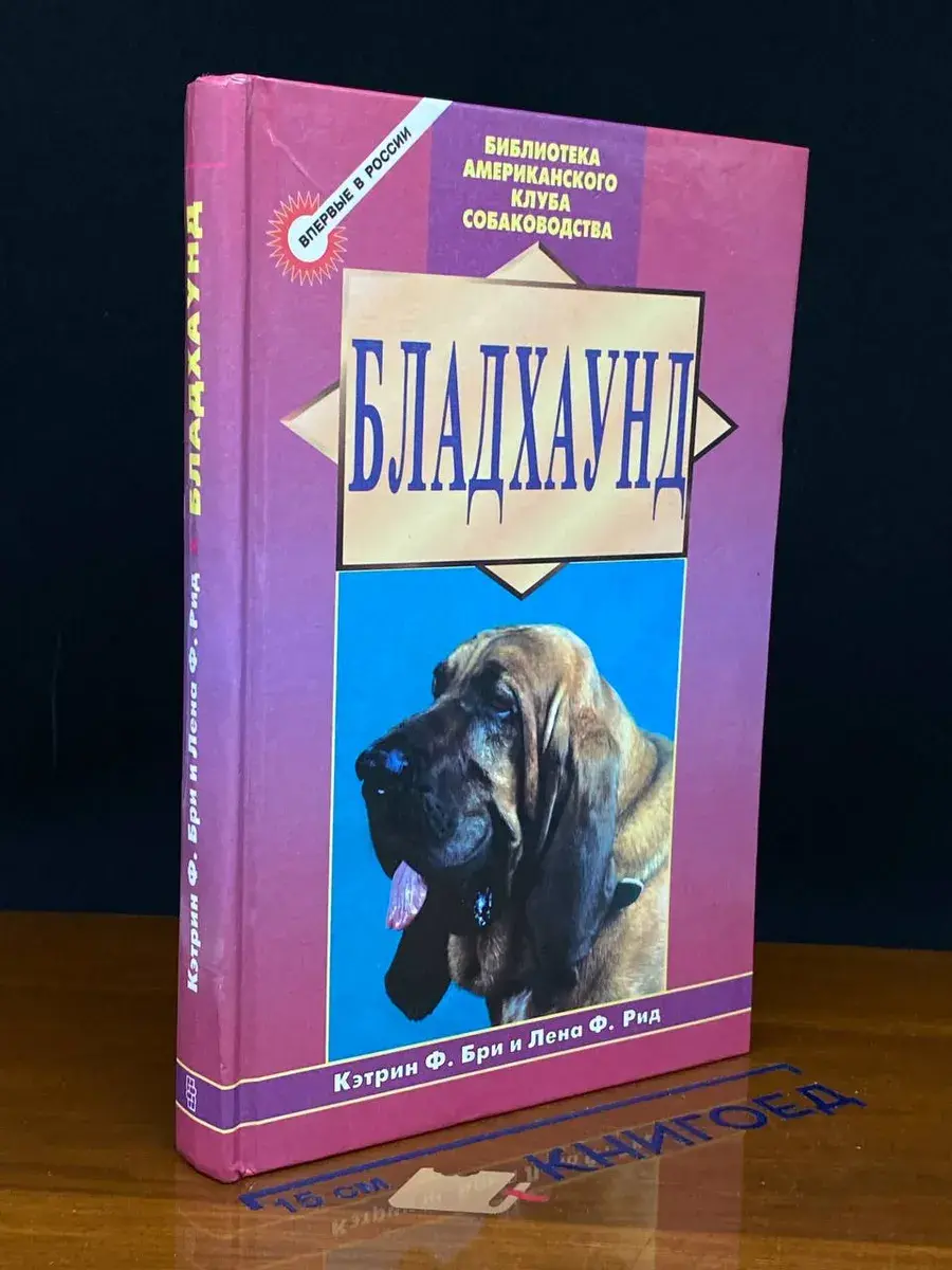 Бладхаунд