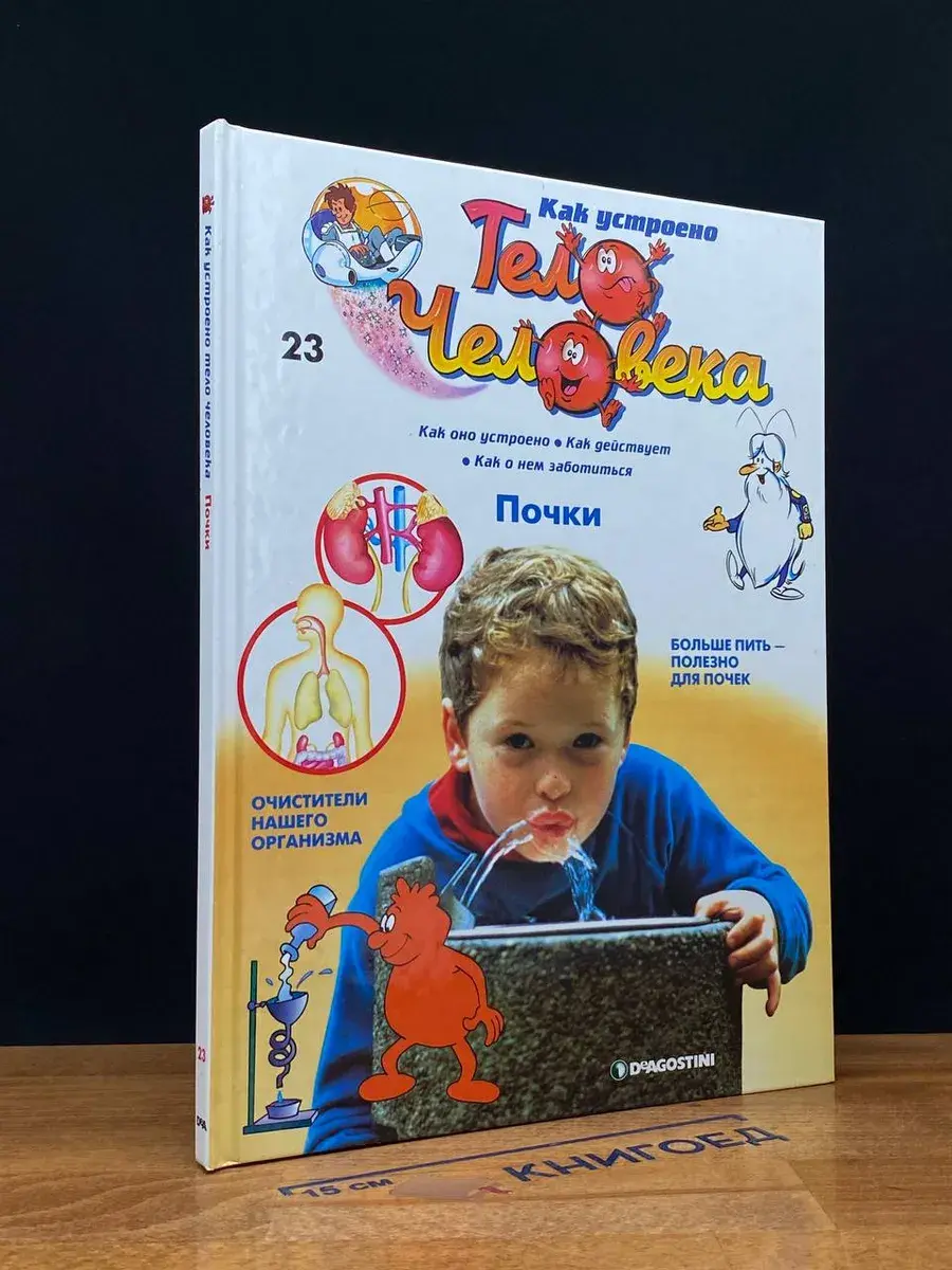 Как устроено тело человека. Выпуск 23. Почки