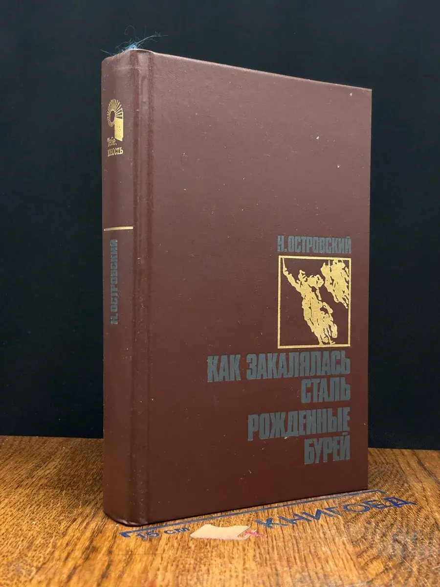 Как закалялась сталь