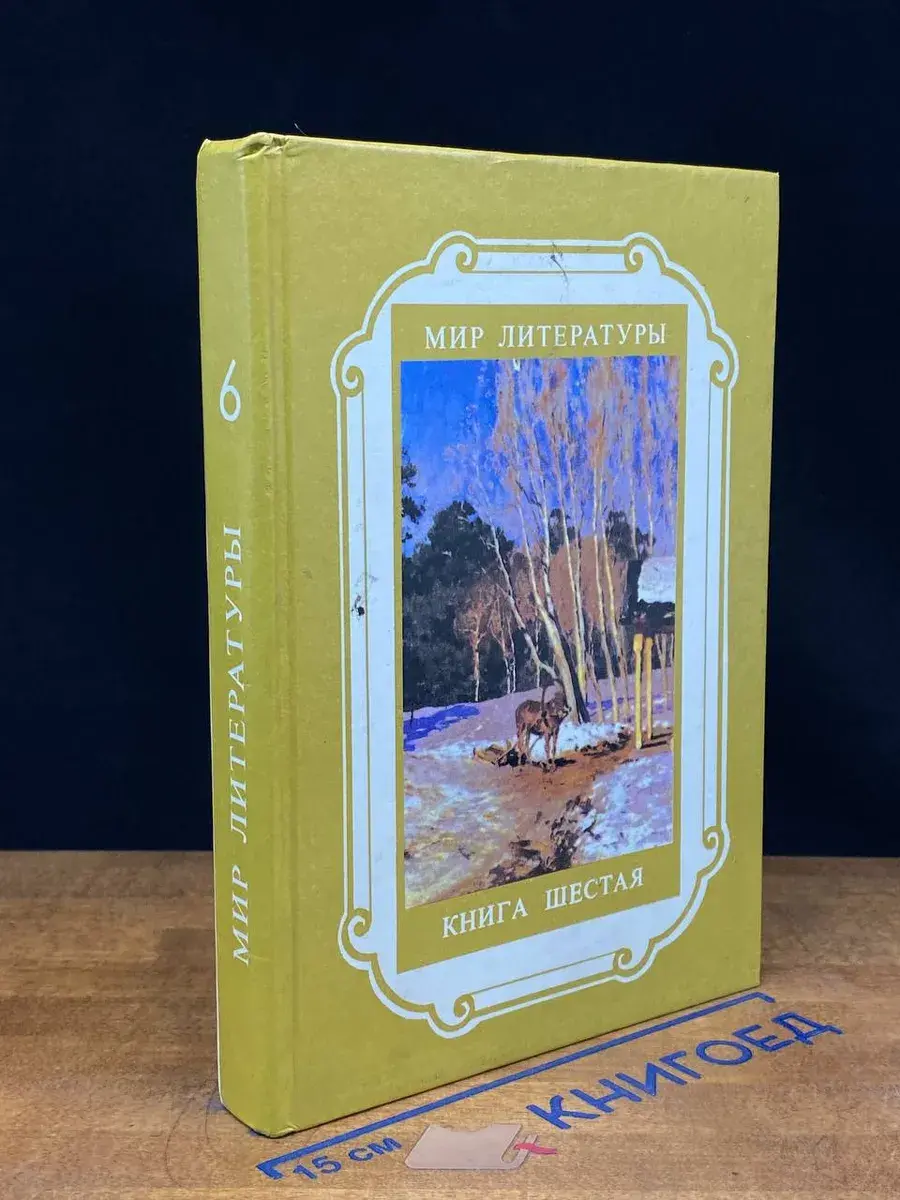 Мир литературы. Книга 6