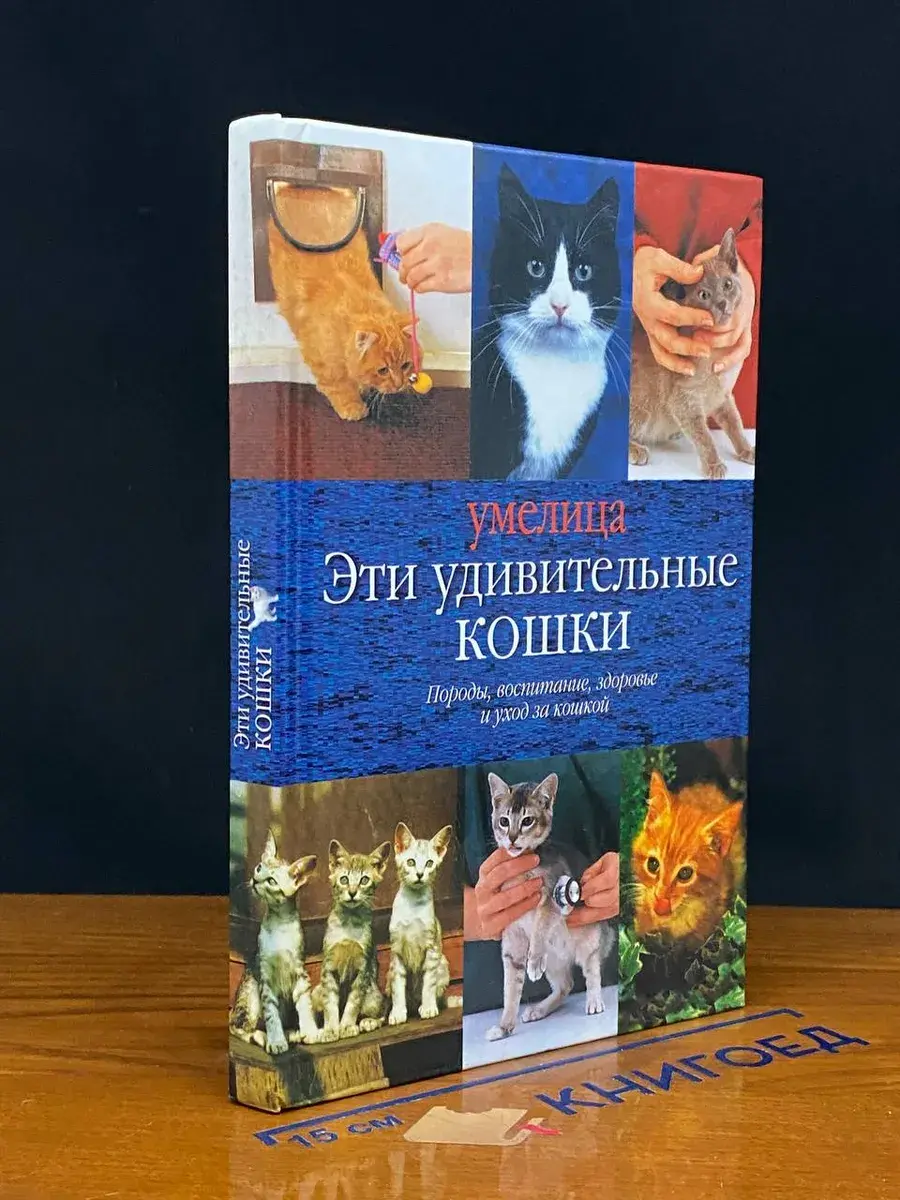 Эти удивительные кошки